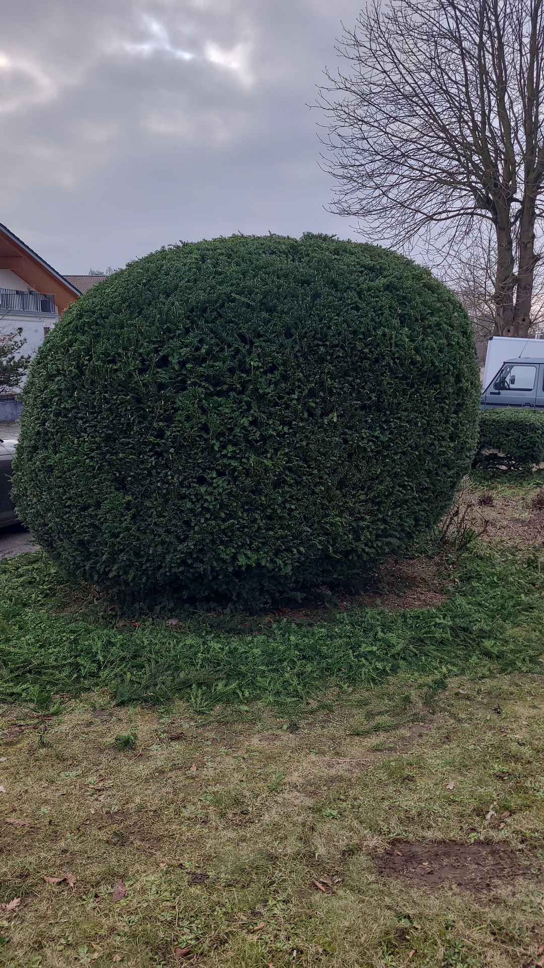 Formschnitt